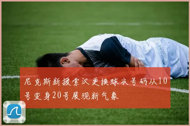 尼克斯新援索汉更换球衣号码从10号变身20号展现新气象